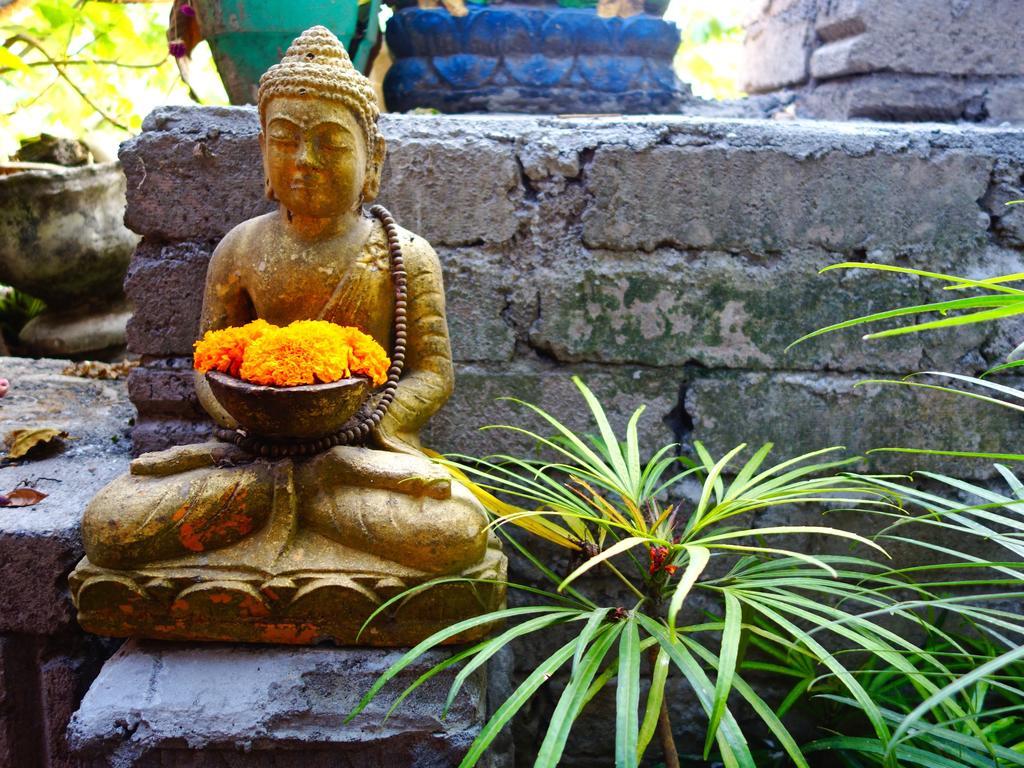 Kabera Bungalow 3 Ubud Kültér fotó
